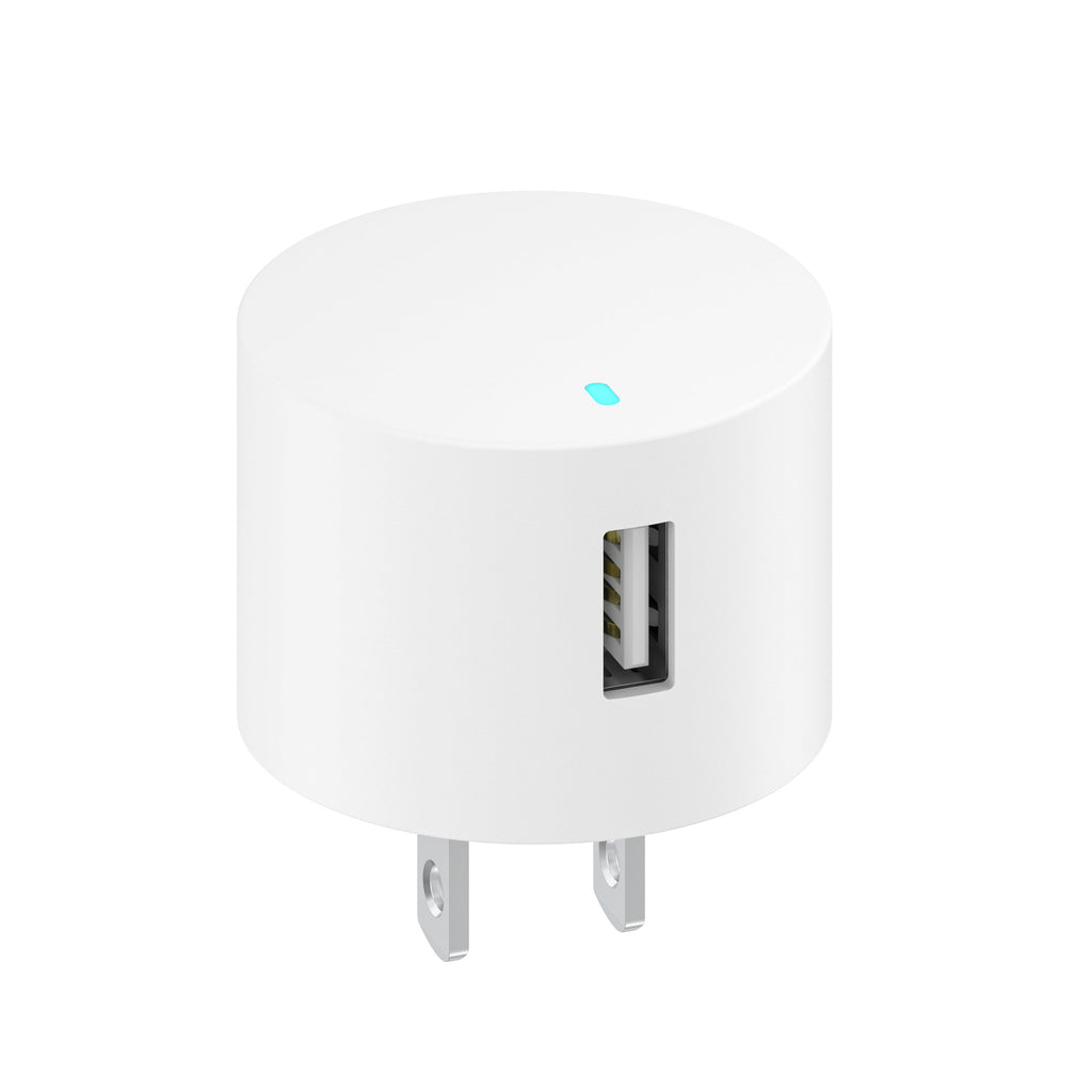 Onn 12W Single USB-A Port Wall Charger with 3Ft Micro-Usb to USB Cable, Foldable Plug, White