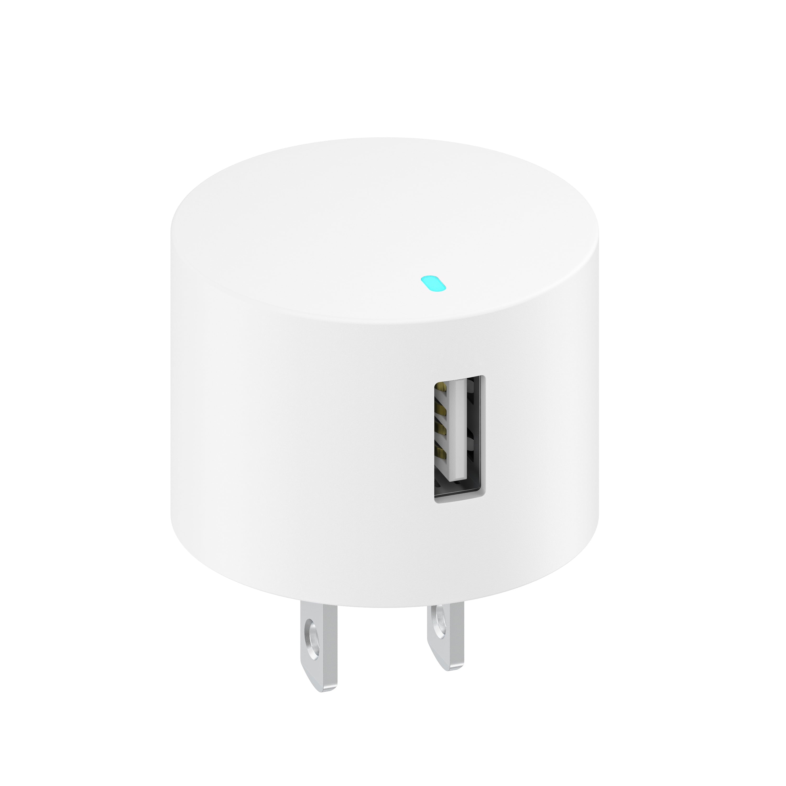 Onn 12W Single USB-A Port Wall Charger with 3Ft Micro-Usb to USB Cable, Foldable Plug, White
