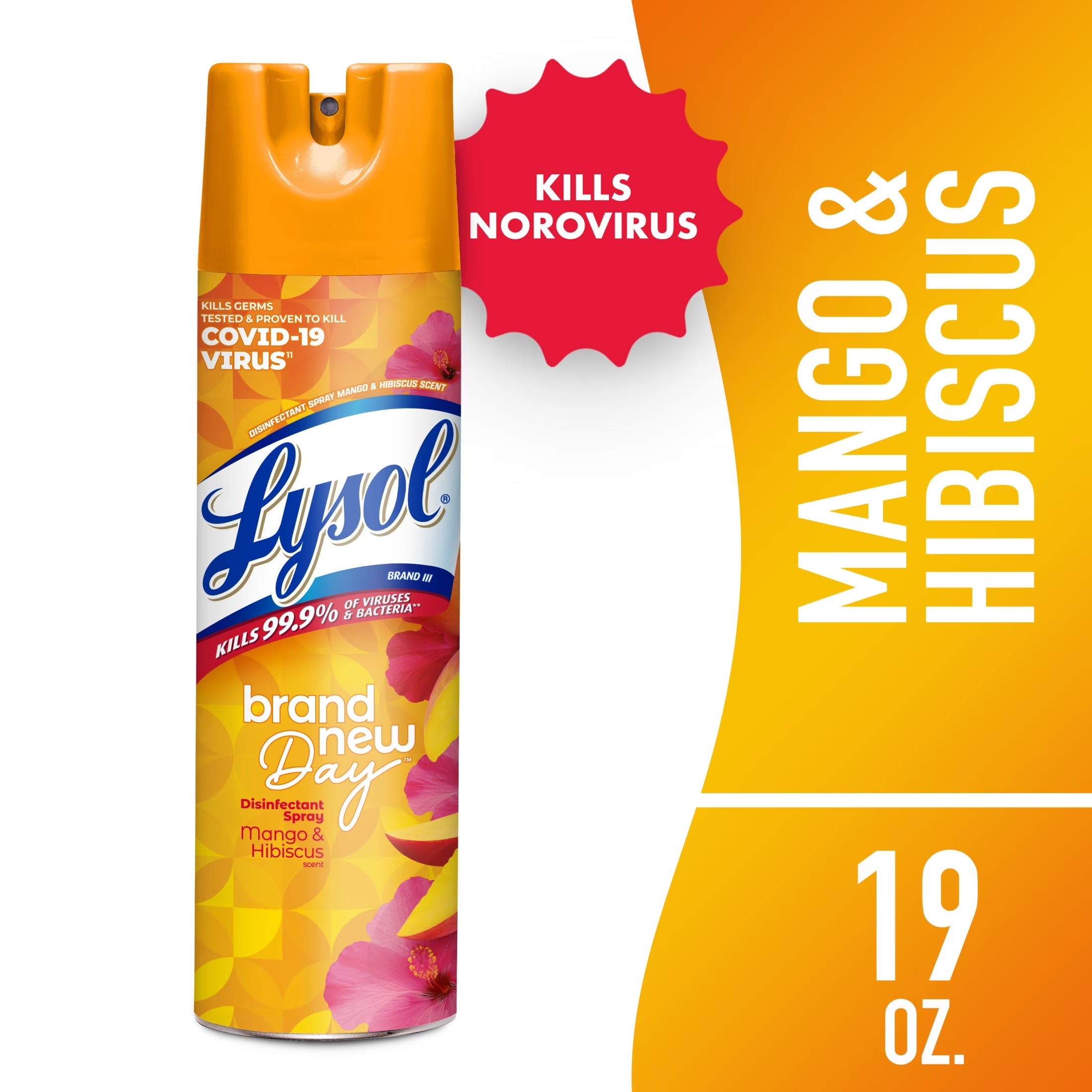 Lysol Disinfectant Spray Sanitizing/Antibacterial- Disinfecting & Deodorizing, Brand New Day Mango Hibiscus 19 Fl Oz