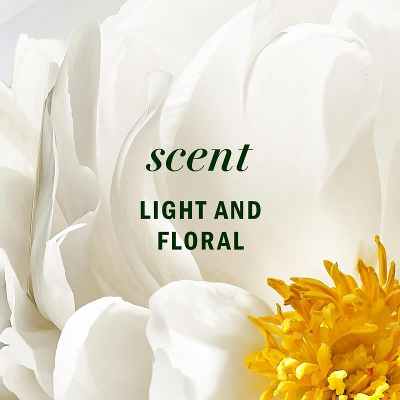 All-In-1 Nourishing Spray, Certified Pure Plants, with Aloe and Camellia Flower