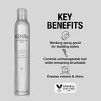 17116940 Artformation Hairspray 10 Oz