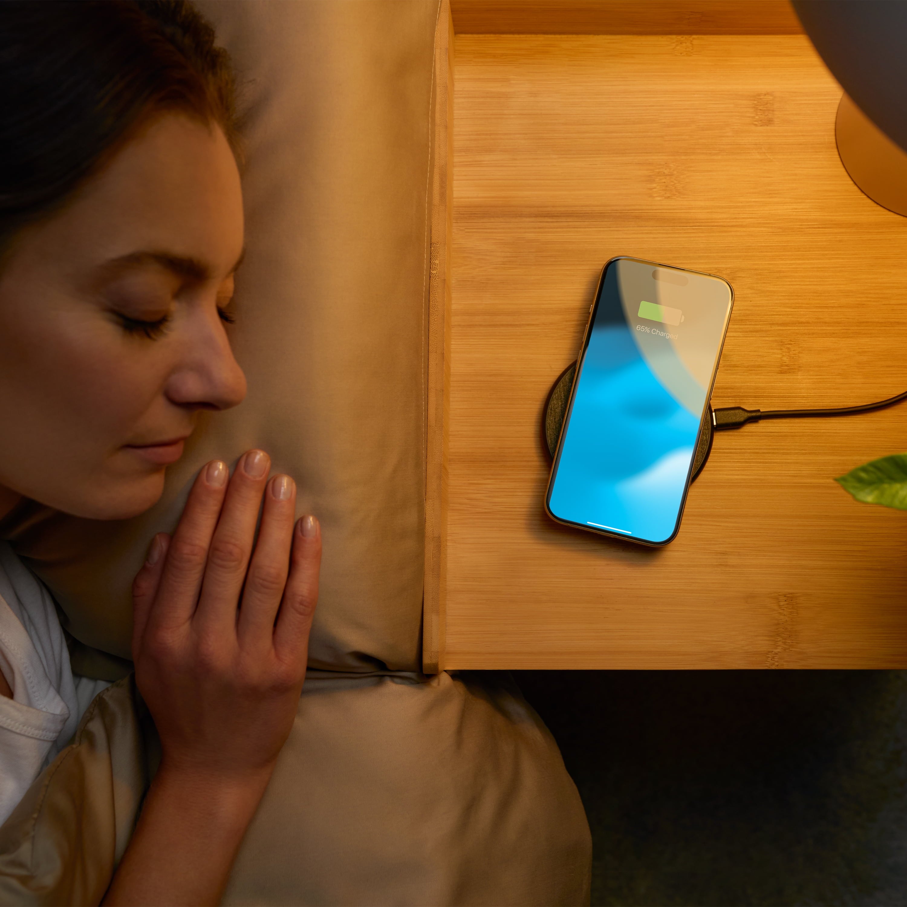 Anker Wireless Charging Pad (10W) with Cable and Charger