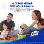 Lysol Disinfectant Spray, Sanitizing and Antibacterial Spray, Crisp Linen Scent, 19 Fl Oz, 2 Pack