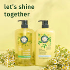 Chamomile Shine Conditioner, 29.2 Fl Oz