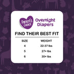 Parent'S Choice Gentle Dreams Overnight Diapers Size 6, 58 Count (Select for More Options)