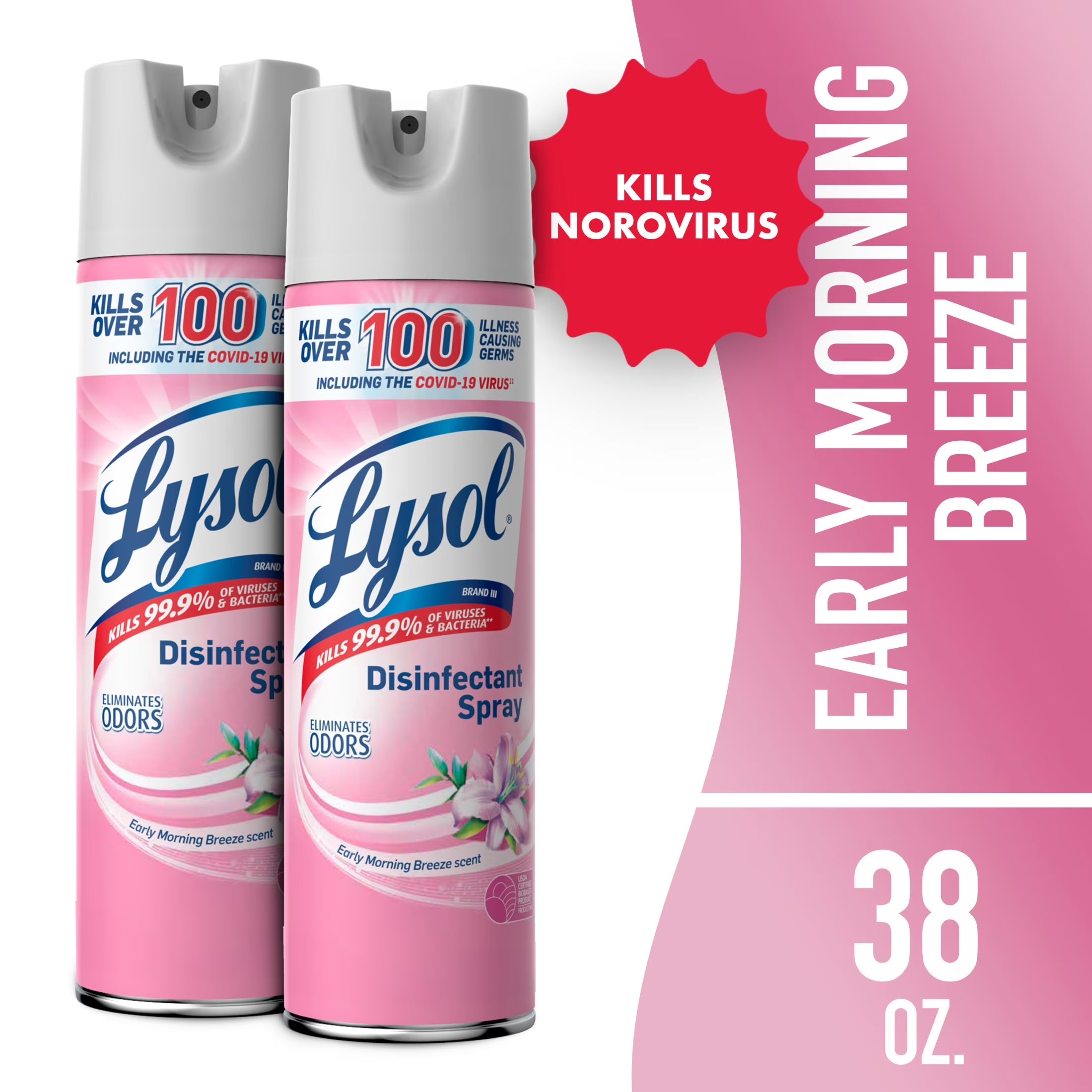 Lysol Disinfectant Sanitizing Antibacterial Spray for Deodorizing, Early Morning Breeze, 19 Fl Oz, 2 Pack