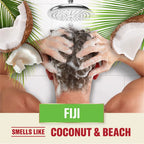 2In1 Mens Shampoo and Conditioner, All Hair Types, Fiji, 22 Fl Oz