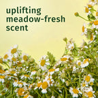 Chamomile Shine Conditioner, 29.2 Fl Oz