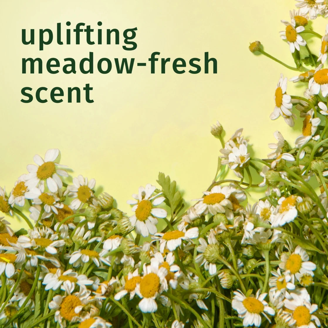 Chamomile Shine Conditioner, 29.2 Fl Oz