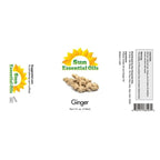 4Oz - Ginger Essential Oil - 4 Fluid Ounces