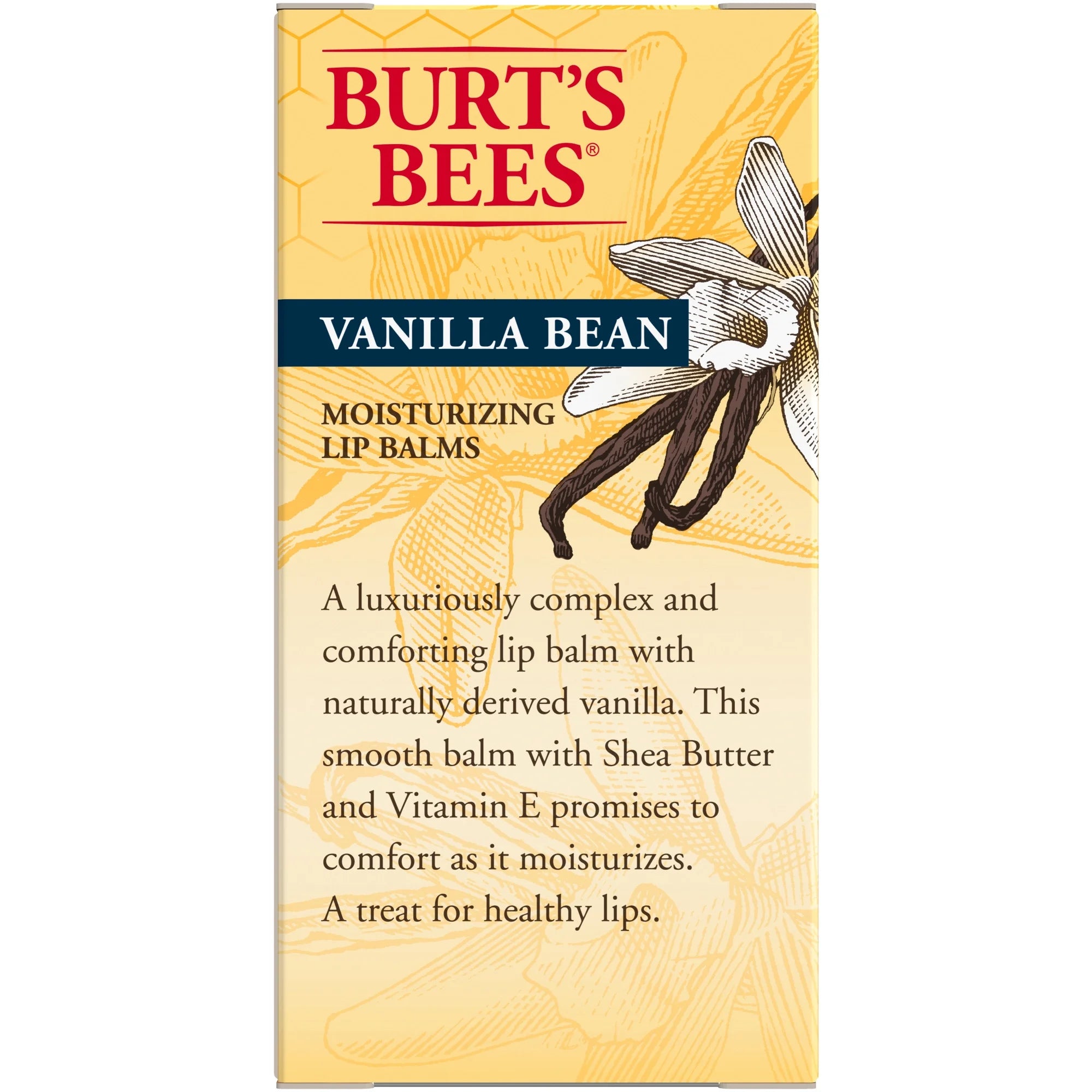 (3 Pack) Burts Bees Vanilla Bean Lip Balm, 2-Pack, 0.15 Oz.