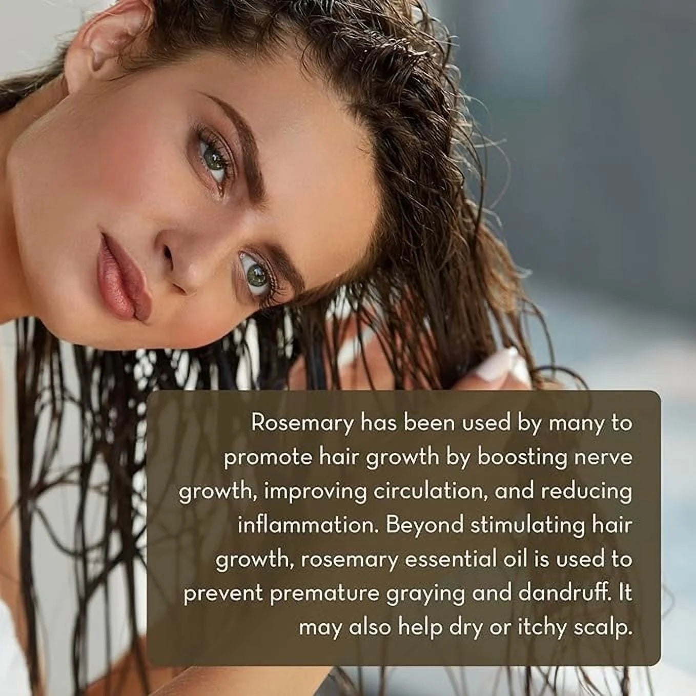 100% Pure Rosemary Essential Oil, 1 Fl. Oz.