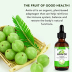 Amla Oil for Hair Care, Hair Oiling, Scalp Massage & Skin Care, Moisturizing & Nourishing, 100% Pure & Natural, Cold Pressed, Cruelty Free, 2.02 Fl Oz