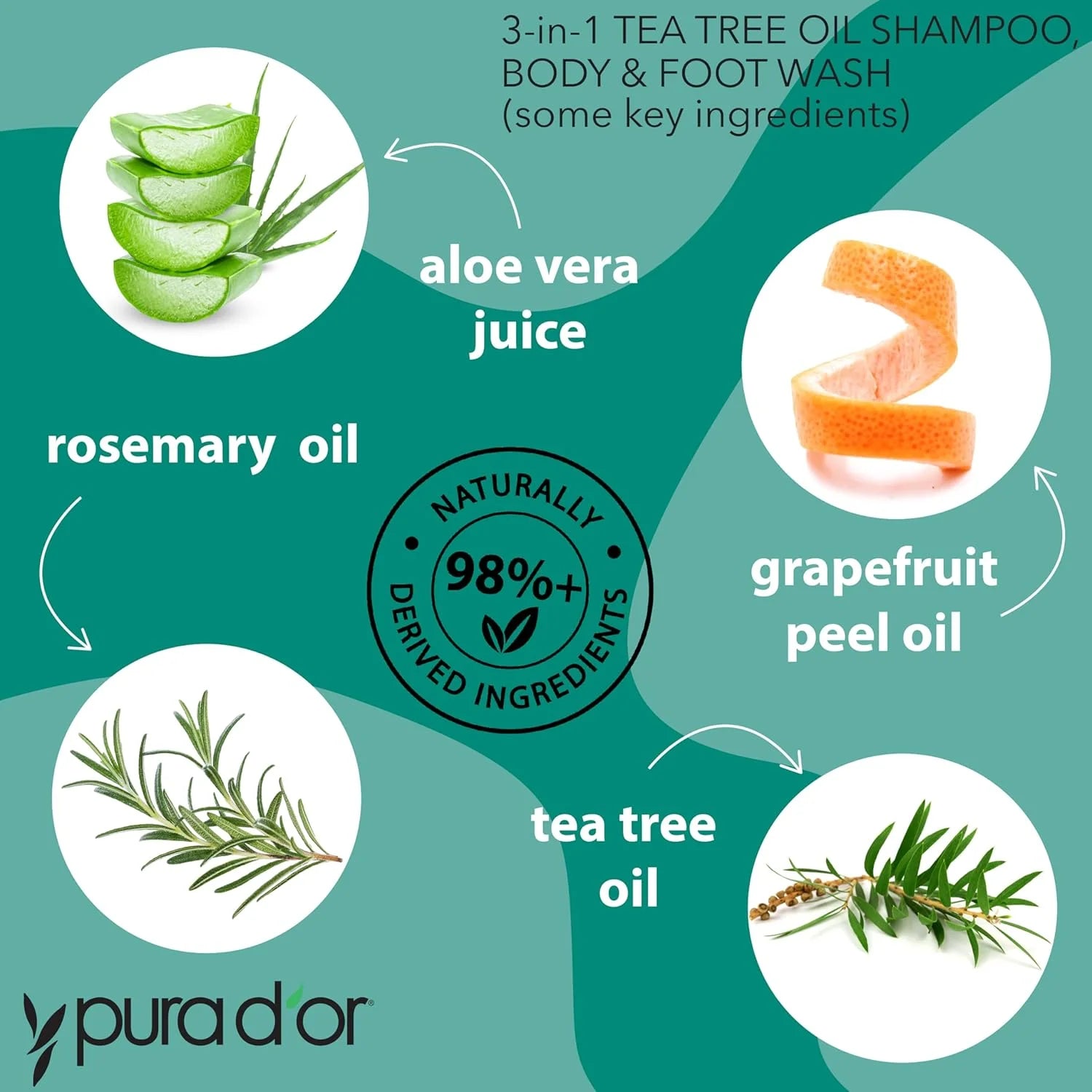 3-In-1 Tea Tree Shampoo, Body & Foot Wash, Shampoo - Total Body Care, 16 Fl Oz