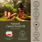 Gya Labs Organic Carrot Seed Oil for Skin - Pure & Natural Unrefined Cold Pressed Carrot Oil for Hair, Scalp, Skin, Face & Massage (1 Fl Oz)