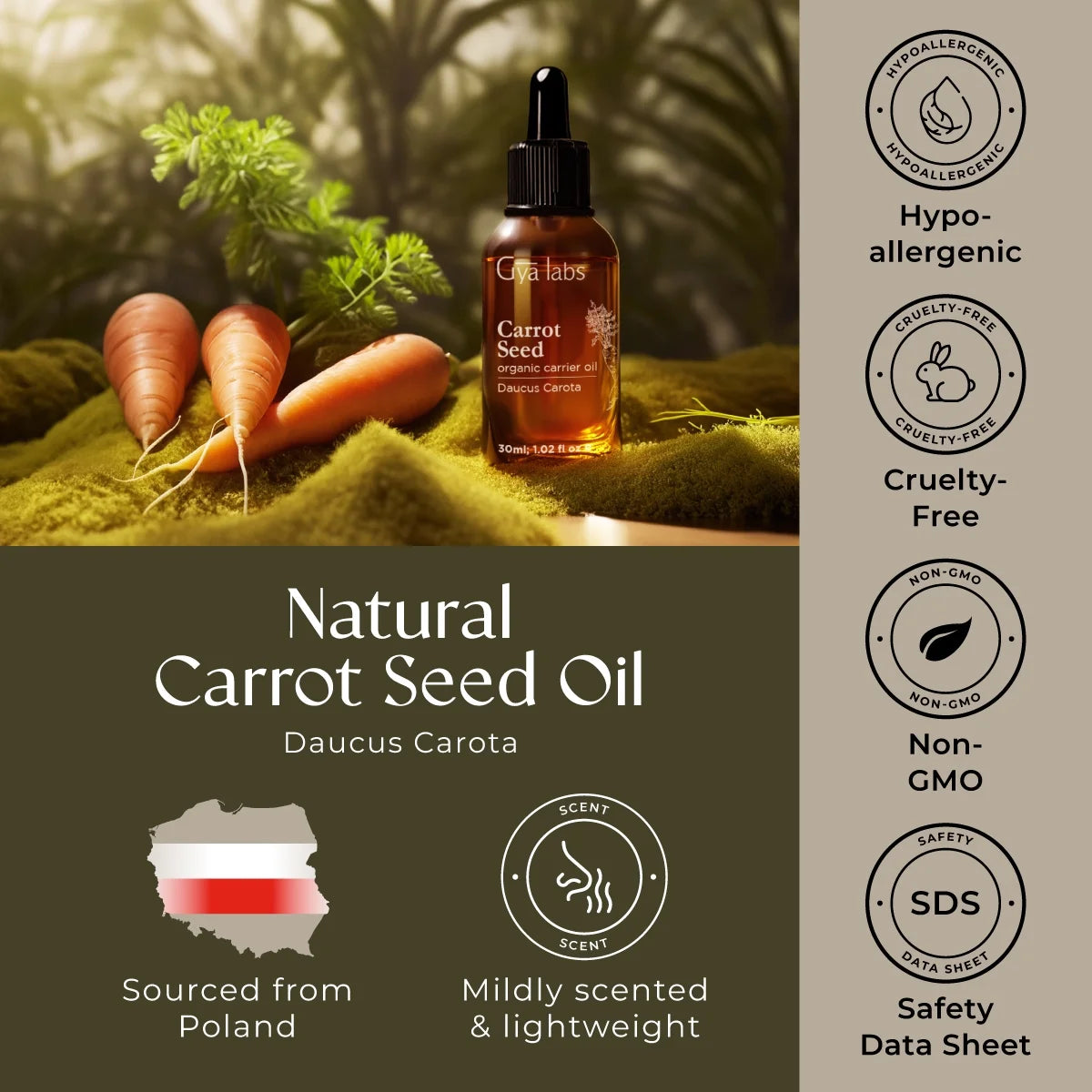 Gya Labs Organic Carrot Seed Oil for Skin - Pure & Natural Unrefined Cold Pressed Carrot Oil for Hair, Scalp, Skin, Face & Massage (1 Fl Oz)