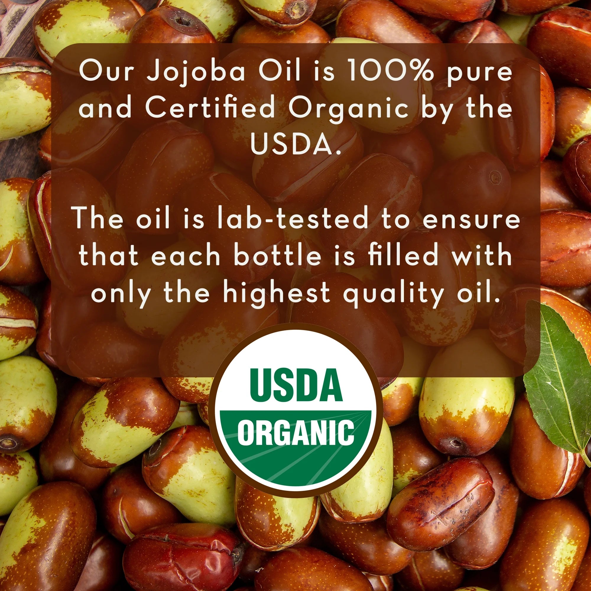 Organic Jojoba Oil, 4 Fl Oz - 100% Pure, Cold Pressed Jojoba Oil for Skin, Hair, Face and Nails - by Pure Body Naturals