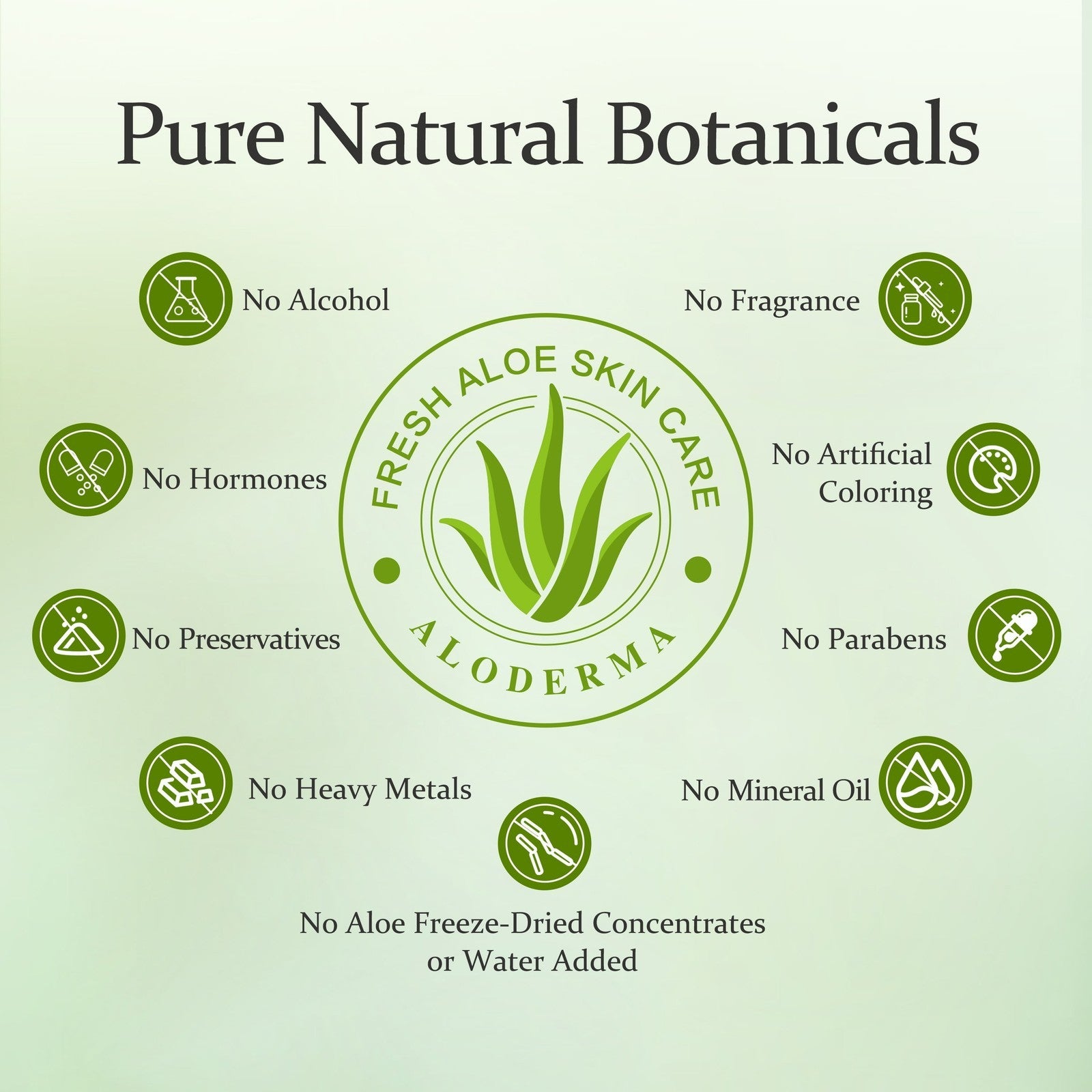 Aloe Hydrating Face Moisturizer with 71% Organic Aloe Vera - Face Lotion for Wom