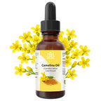 Camelina Oil – 0.5 Oz | – Omega-Rich & Fast Absorbing