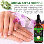 3-Pack Jamaican Black Castor Oil for Hair Care ,100% Pure & Natural,Dry Scalp Hydration -Nourishment Essential Oil