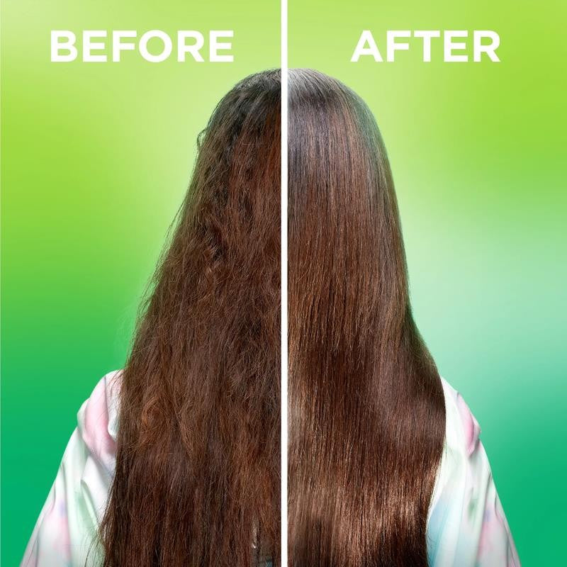 Fructis Sleek & Shine Moroccan Sleek Smoothing Conditioning Oil for Dry Hair, 3.