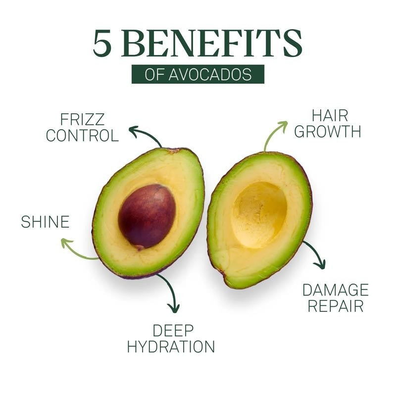 Eva+Avo Sulfate Free Shampoo with Avocado Oil, Adults, All Hair Types, 8 Fl Oz