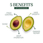 Eva+Avo Sulfate Free Shampoo with Avocado Oil, Adults, All Hair Types, 8 Fl Oz