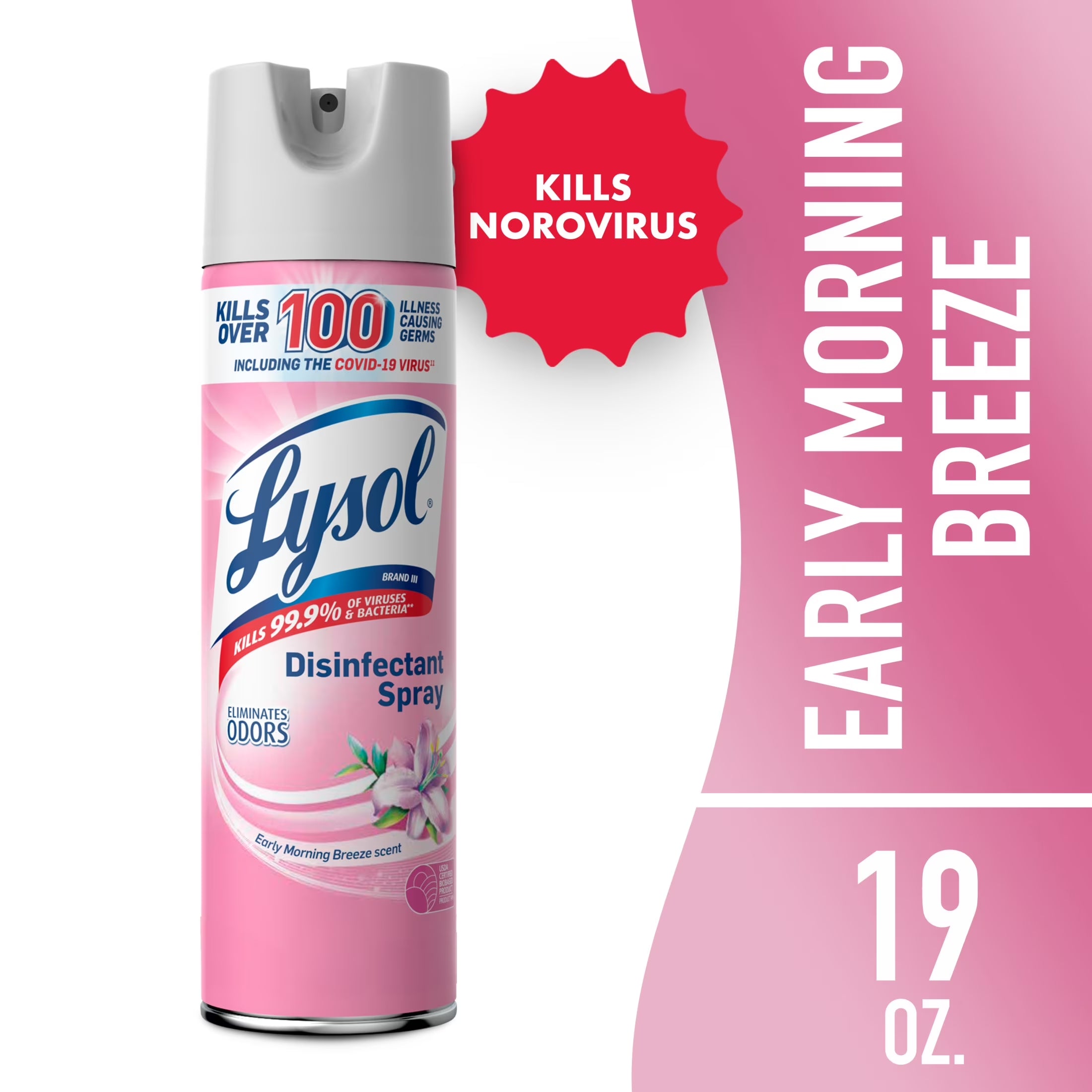 Lysol Disinfectant Spray for Sanitizing Antibacterial Disinfecting, Early Morning Breeze, 19 Fl Oz