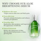 Aloderma Skin Brightening Serum with 65% Organic Aloe Vera - Face Serum with Niacinamide, Vitamin C and Alpha-Arbutin for Glowing Skin - Aloe Vera Face Glow Serum - Refine Skin Texture and Tone