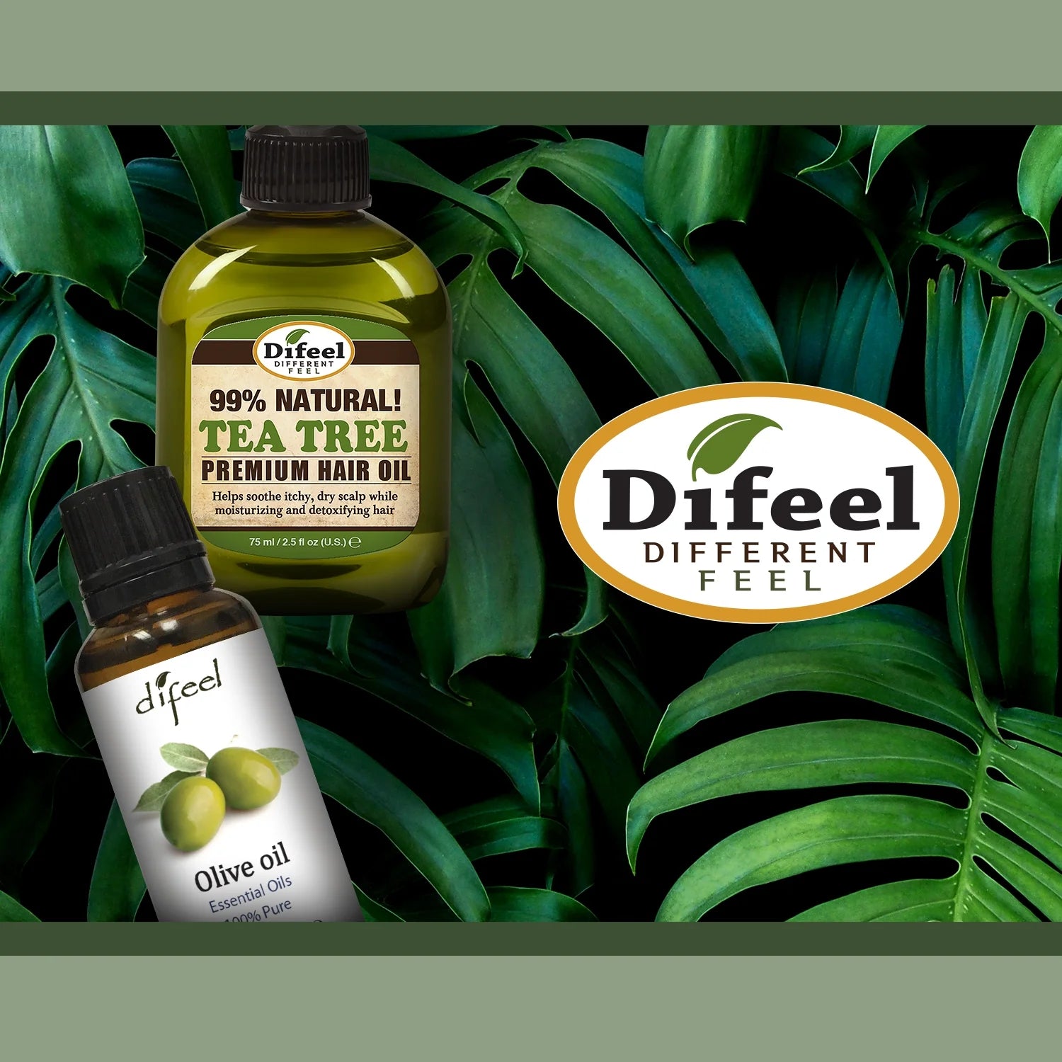 Essential Oils 100% Pure Macadamia Oil with Antioxidants 1 Oz. (Pack of 3)