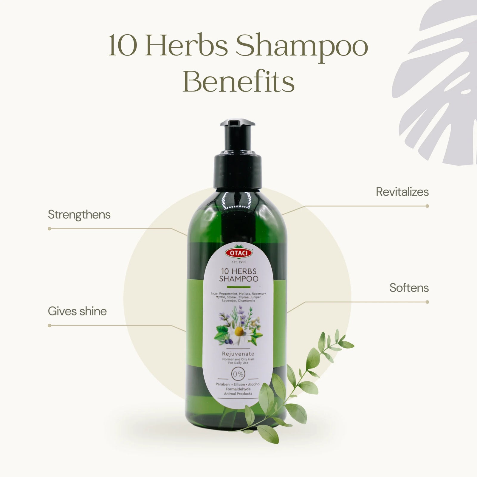 10 Herbs Rejuvenate Shampoo for Bright and Shiny Hair
