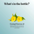 Pure Evening Primrose Oil for Skin - Cold Pressed Natural Face Moisturizer and Nourishing Hair Oil - Use in DIY Skin Care for Dry Flaky Skin Hydration and as a Carrier Oil for Essential Oils Mixing