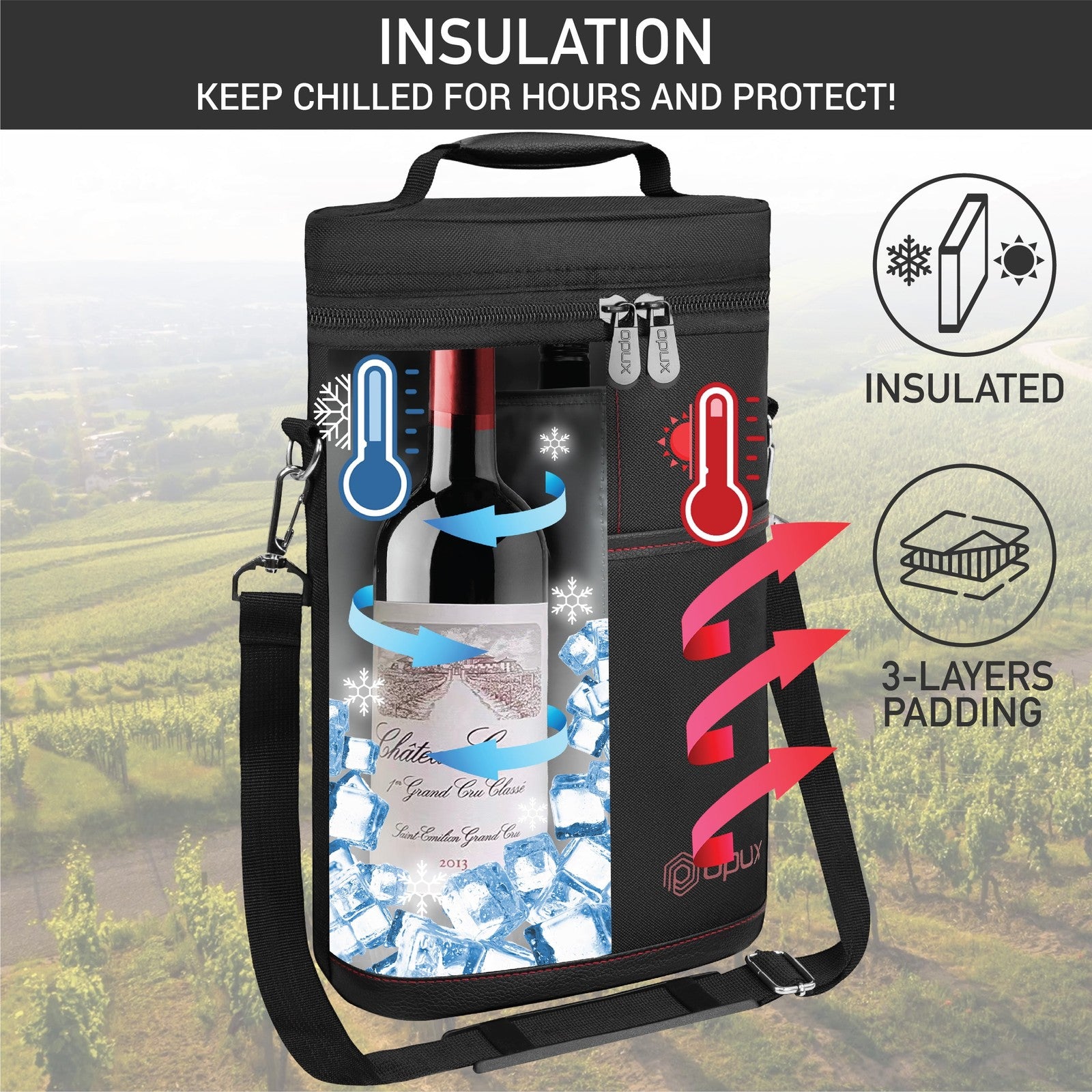 2 Bottle Wine Carrier Tote, Insulated Leakproof Wine Cooler Bag, Wine Travel Bag