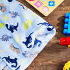 Parent’S Choice Plush Baby Blanket, Blue Dinosaur, 30 in X 36 In