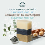 Fresh & Clean Collection 3 Pack Soap Eucalyptus, Unscented, Charcoal Mud Tea Tre