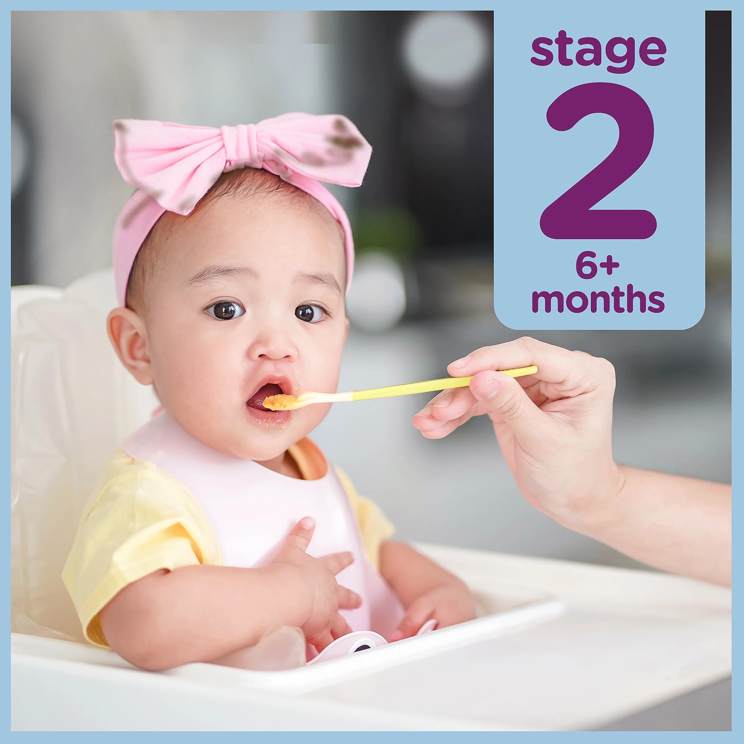 Parent'S Choice Stage 2 Baby Food, Banana, Blueberry, and Oats Fruit and Cereal Puree, 4 Oz Pouch