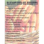 Carrot Seed Oil Organic Carrier Cold Pressed Premium Fresh 100% Pure by H&B OILS
