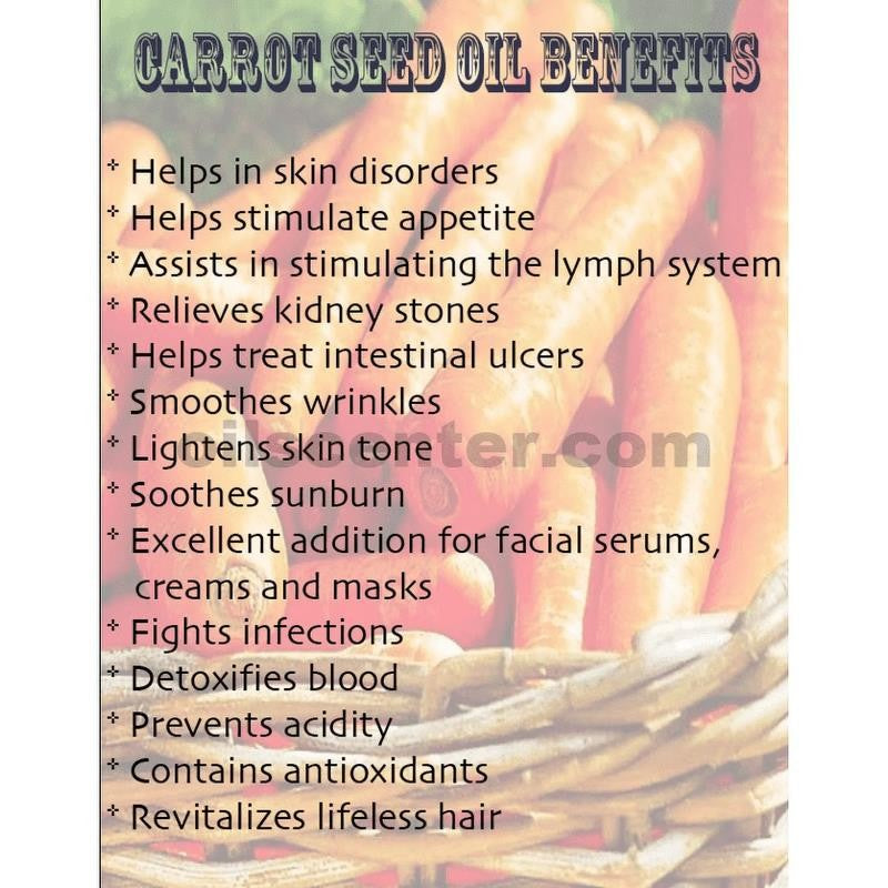 Carrot Seed Oil Organic Carrier Cold Pressed Premium Fresh 100% Pure by H&B OILS