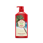 2In1 Mens Shampoo and Conditioner, All Hair Types, Fiji, 22 Fl Oz