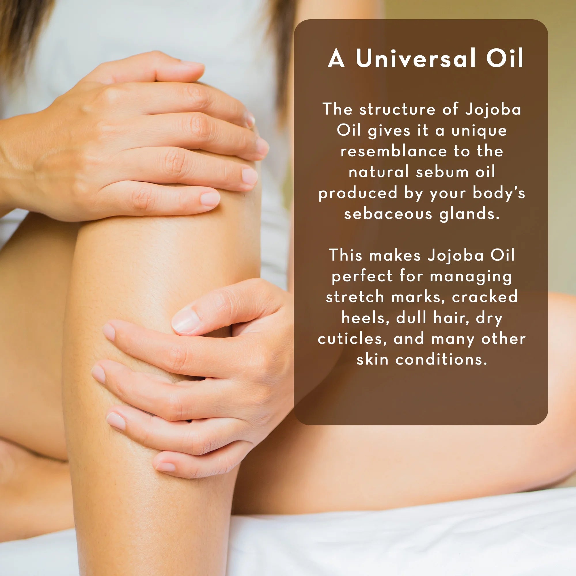 Organic Jojoba Oil, 4 Fl Oz - 100% Pure, Cold Pressed Jojoba Oil for Skin, Hair, Face and Nails - by Pure Body Naturals