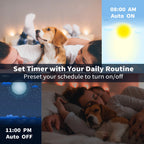 100FT Led Lights,Music Sync Strip Lights with APP and Remote Control,Rgb Color C