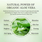 Aloe Hydrating Face Moisturizer with 71% Organic Aloe Vera - Face Lotion for Wom