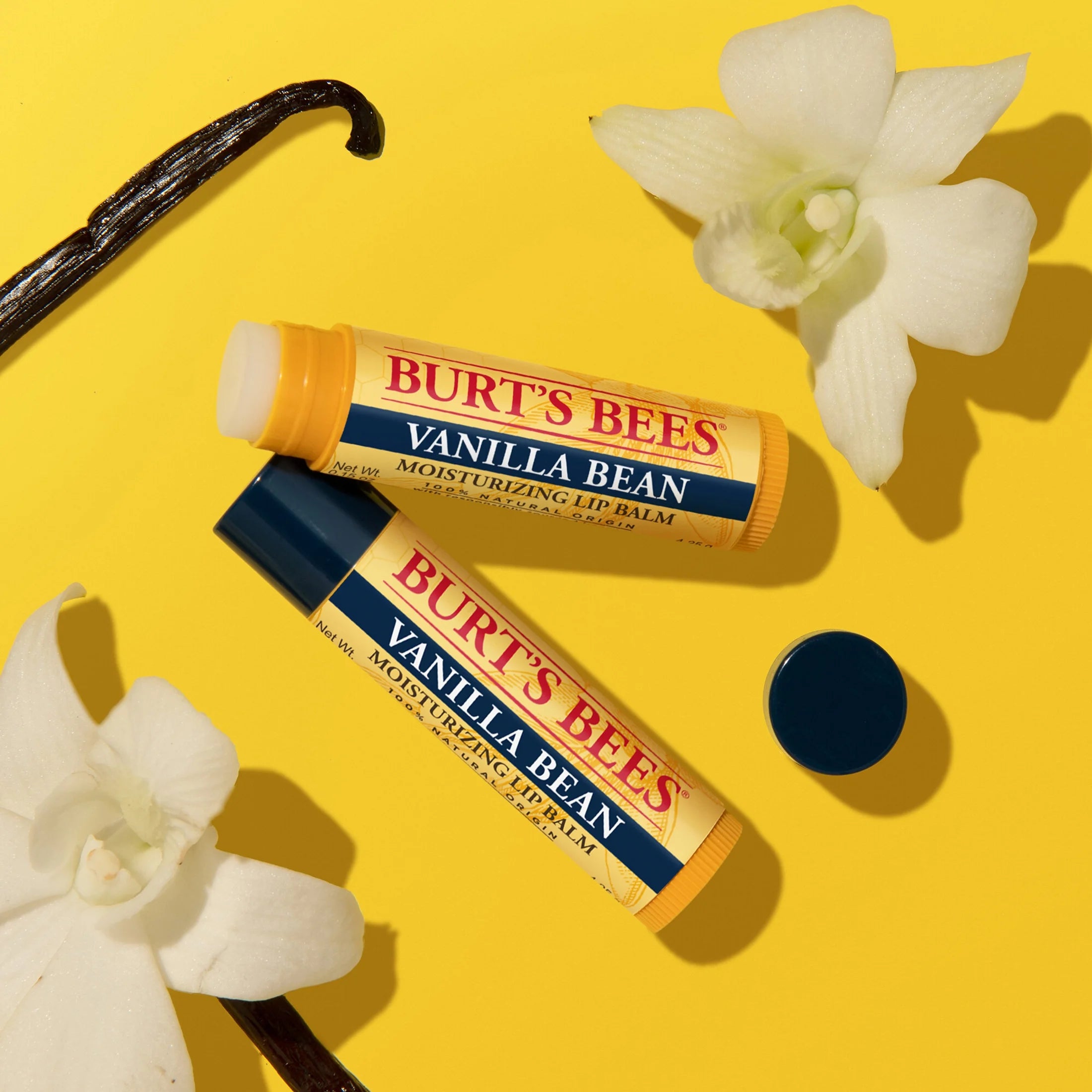 Burts Bees Vanilla Bean Lip Balm, 4-Pack, 0.15 Oz.