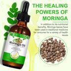 Aliver Moringa Oil 100% Pure & Natural,Reduces Breakage & Split Ends , Cold-Pressed, 2.02Fl.Oz