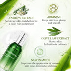 Aloderma Skin Brightening Serum with 65% Organic Aloe Vera - Face Serum with Niacinamide, Vitamin C and Alpha-Arbutin for Glowing Skin - Aloe Vera Face Glow Serum - Refine Skin Texture and Tone